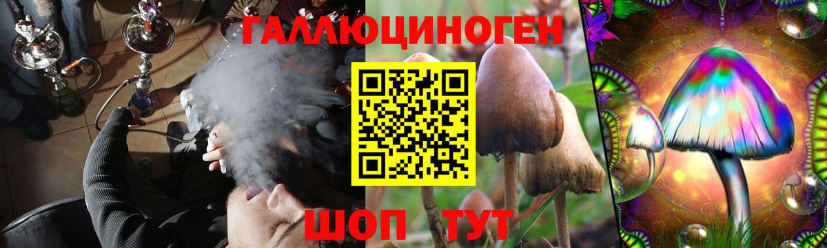 Псилоцибиновые грибы мицелий  Псилоцибиновые грибы Psilocybine cubensis  наркотики  Ярцево  Вход с VPN 